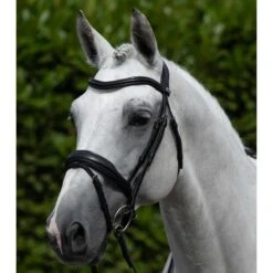 Bridon Anatomique Avec Muserolle Combinée Premier Equine Rizzo