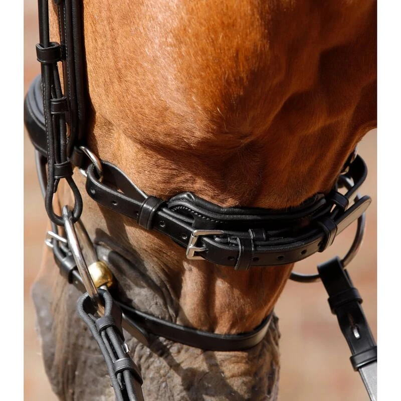 Bridon Anatomique Muserolle Combinée Premier Equine Savuto – Image 3