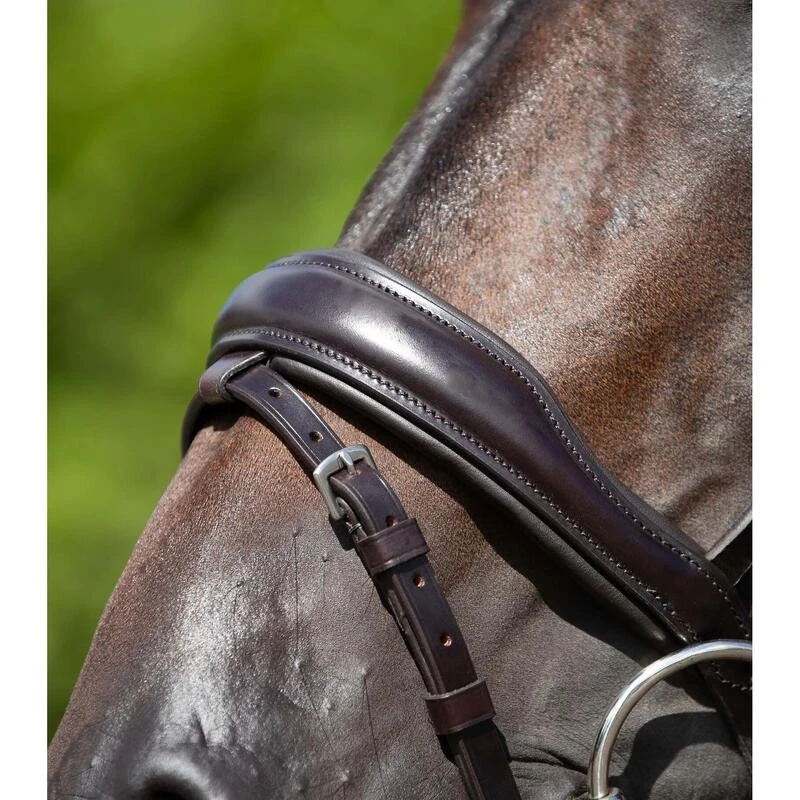 Bridon Anatomique Muserolle Combinée Premier Equine Stellazzio – Image 4