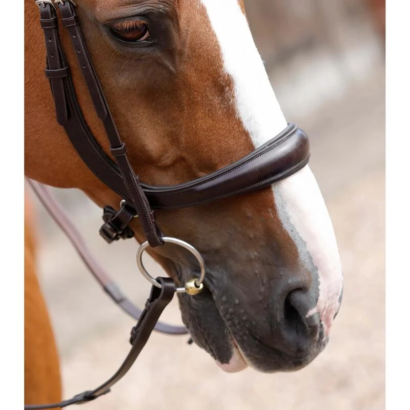 Bridon Anatomique Premier Equine Lambro – Image 2
