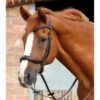 Bridon Anatomique Premier Equine Lambro