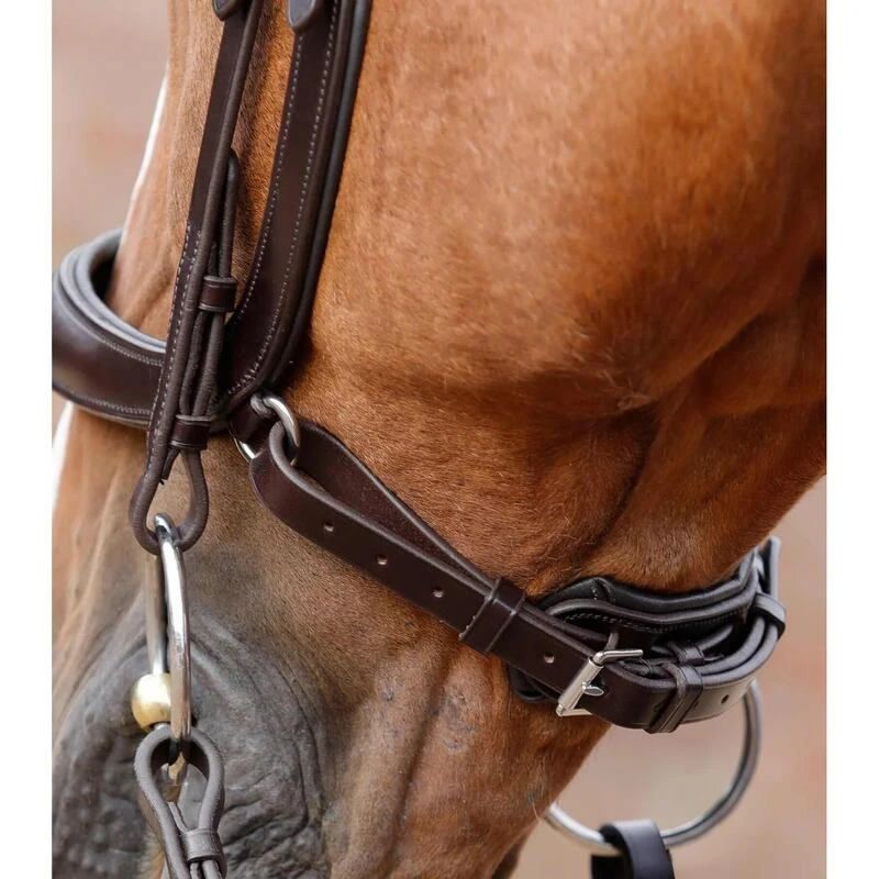 Bridon Anatomique Premier Equine Lambro – Image 3
