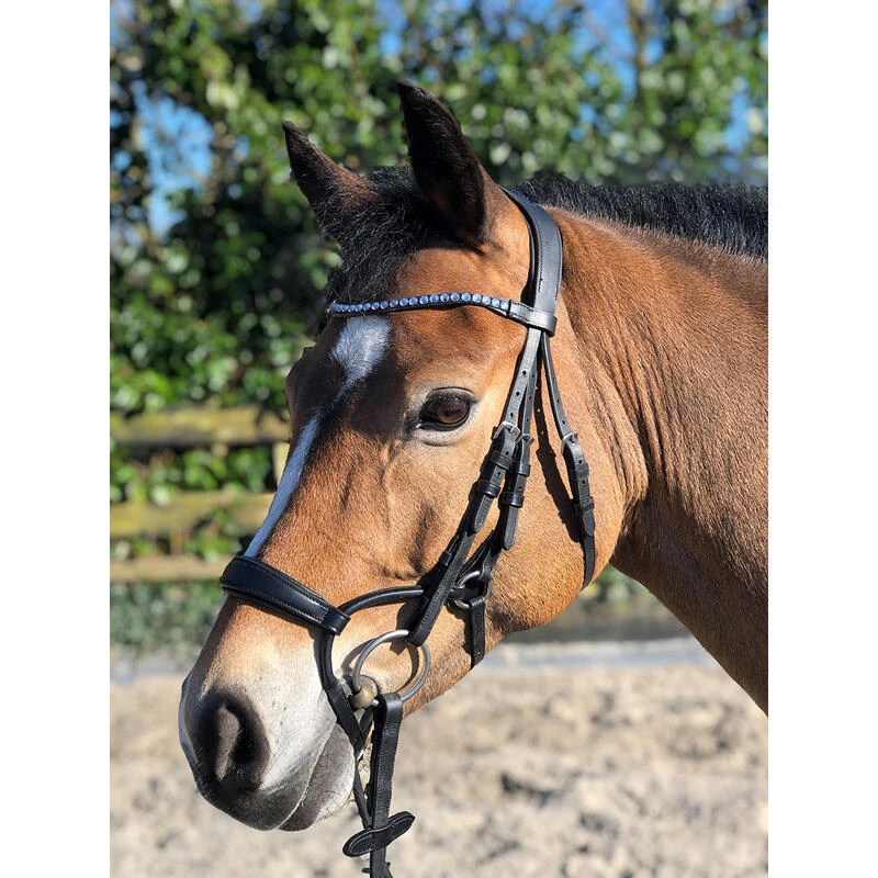 Bridon Aquila Deluxe Horsegear Noir – Image 6