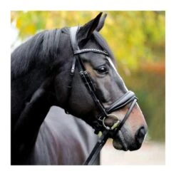 Bridon Avec Strass Kavalkade Charlotte