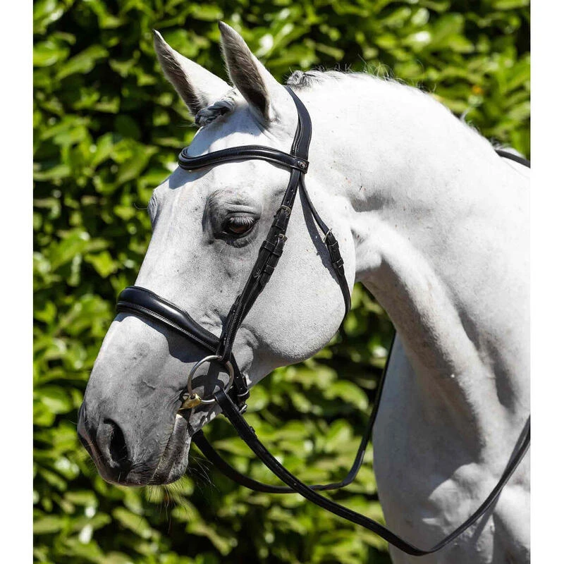 Bridon équitation Anatomique équitation Premier Equine Verdura – Image 3