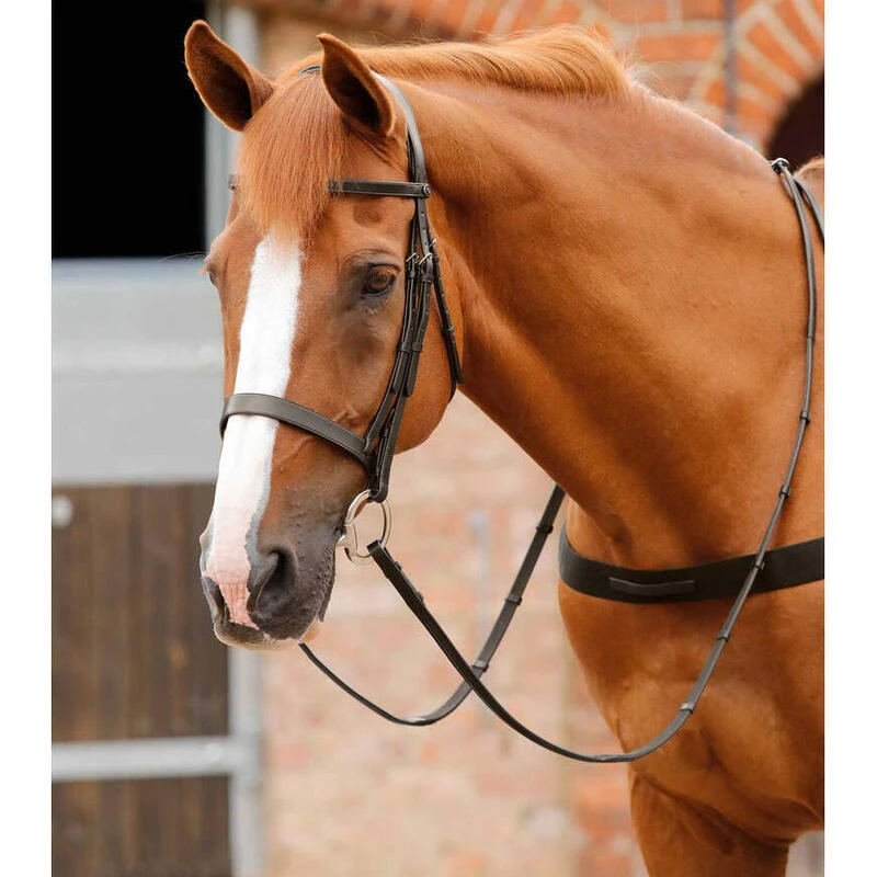Bridon équitation Pour Hunter Premier Equine Primo – Image 4