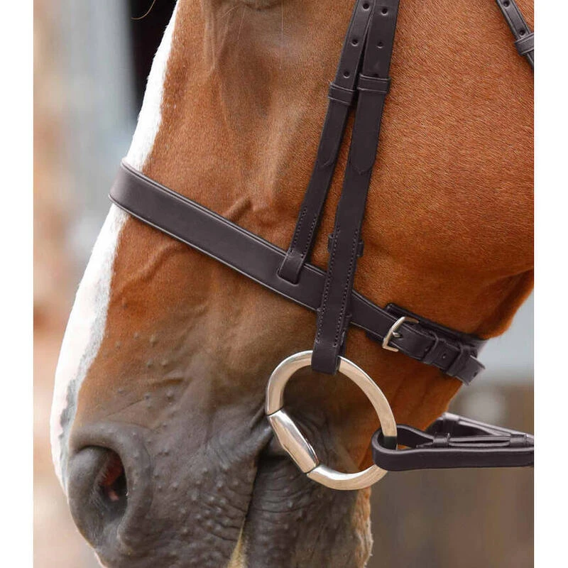 Bridon équitation Pour Hunter Premier Equine Primo – Image 5