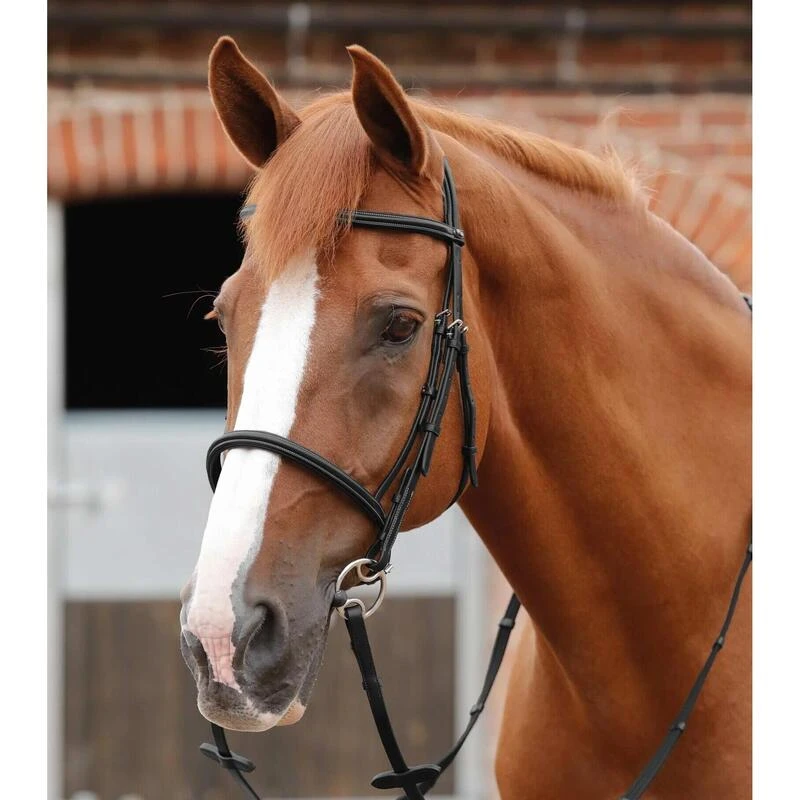 Bridon Premier Equine Mossimo