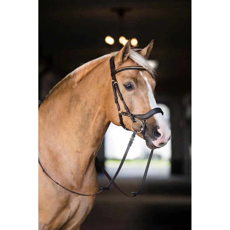 Bridon Quasar Horsegear Marron-doré – Image 4