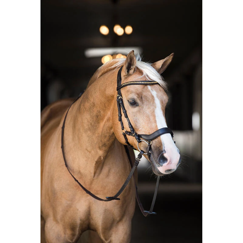 Bridon Quasar Horsegear Marron-doré – Image 5