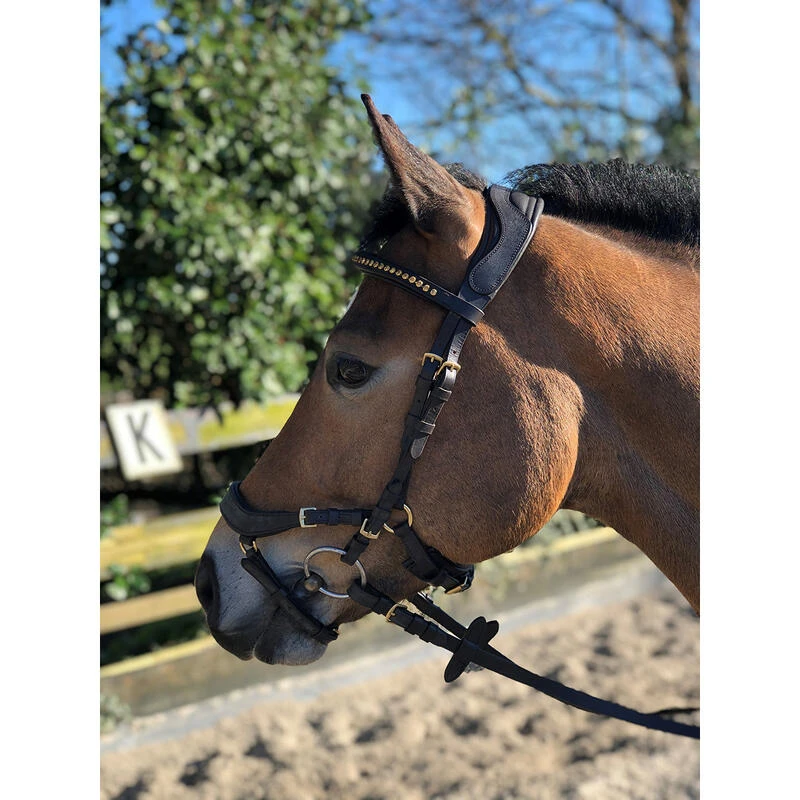 Bridon Quasar Horsegear Marron-doré – Image 6