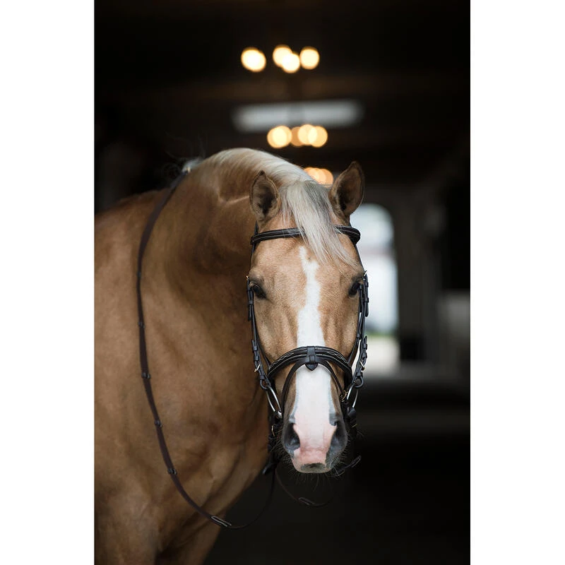 Bridon Taron Horsegear Marron – Image 3