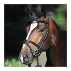 Bridons équitation Kavalkade Lorenz