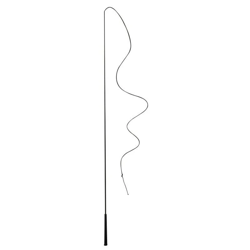 Chambrière équitation Cheval Et Poney - Noire