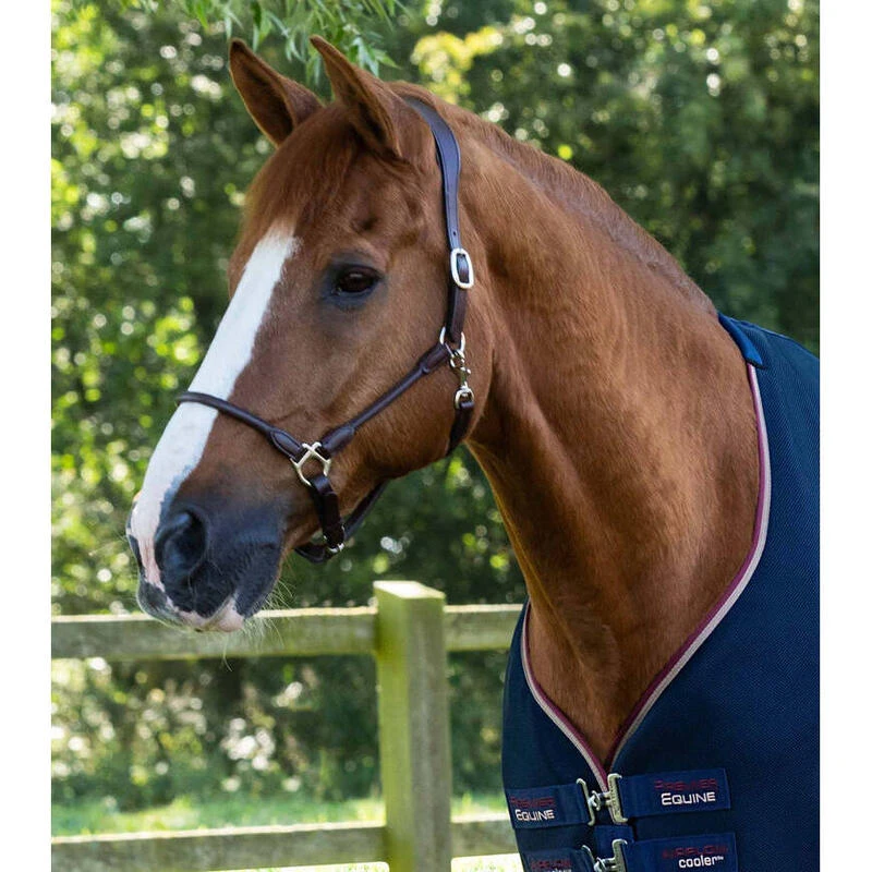 Chemise Pour Cheval Premier Equine Airflow Cooler – Image 2