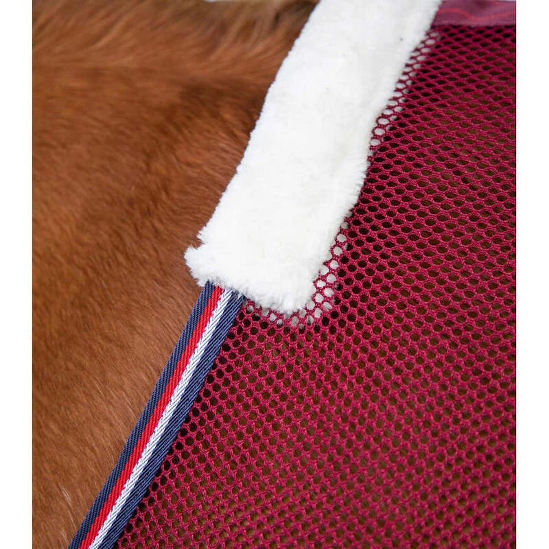 Chemise Pour Cheval Refroidissante Premier Equine Arisca Scrim – Image 2