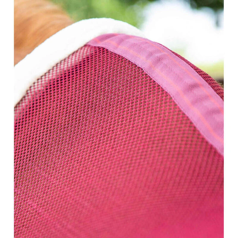 Chemise Pour Cheval Refroidissante Premier Equine Arisca Scrim – Image 4