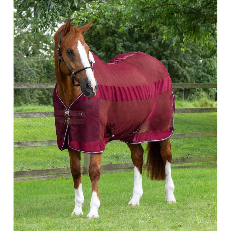 Chemise Pour Cheval Refroidissante Premier Equine Arisca Scrim