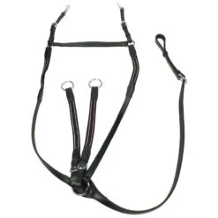 Collier De Chasse Bristol Epplejeck Noir-argenté