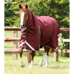 Couverture D'extérieur Imperméable Pour Cheval Avec Couvre-cou Premier Equine Bu