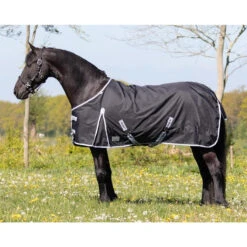 Couverture D'extérieur Pour Cheval à Grand Cou QHP 300g