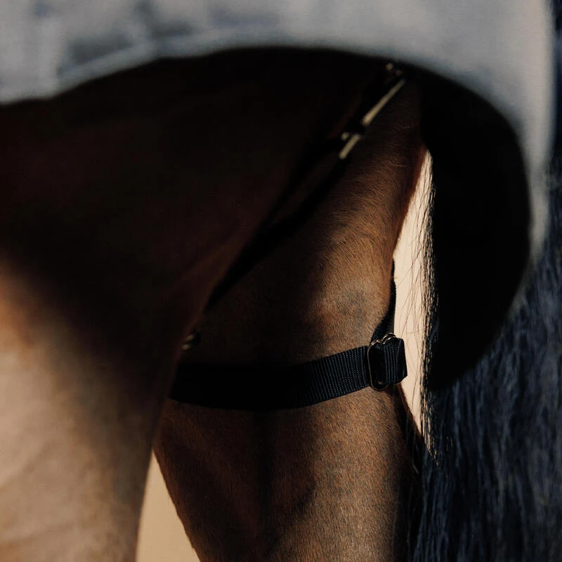 Couverture équitation écurie 300g Cheval Et Poney - Combo 300 Gris Moyen – Image 9