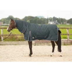 Couverture Extérieur Pour Cheval Avec Cou Harry's Horse Thor 200 G