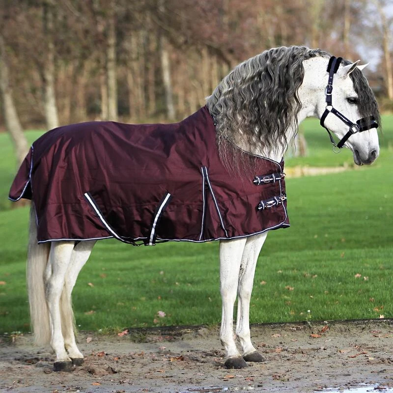 Couverture Extreme 300 G Horsegear Violet – Image 3