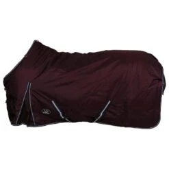 Couverture Extreme 300 G Horsegear Violet