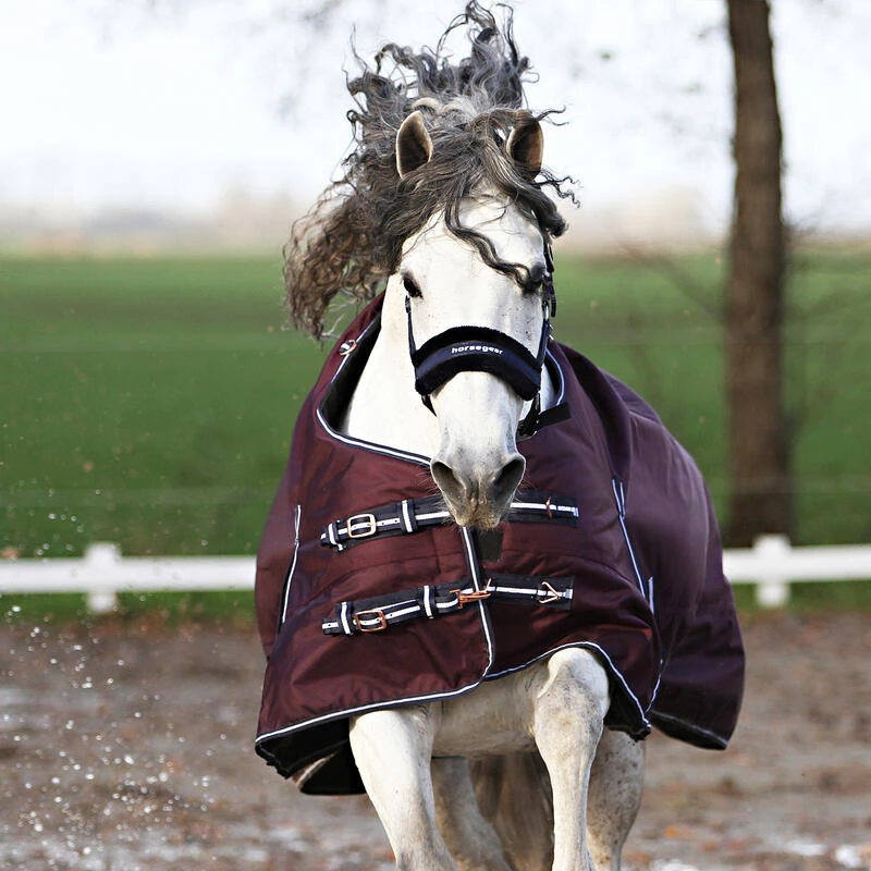 Couverture Extreme 300 G Horsegear Violet – Image 6