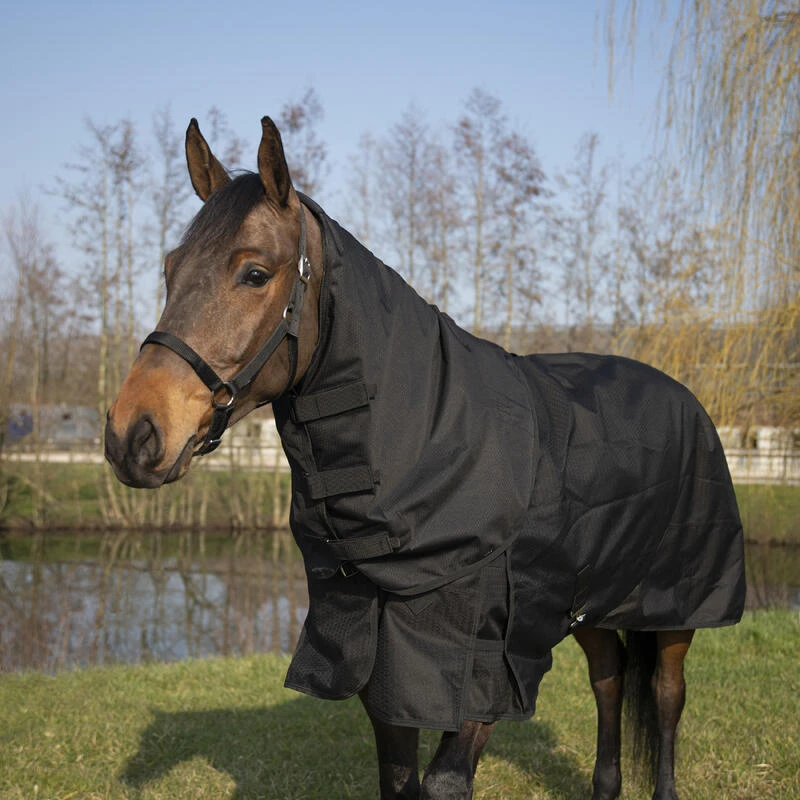 Couvre-cou équitation Imperméable Cheval - Allweather Light Noir – Image 2