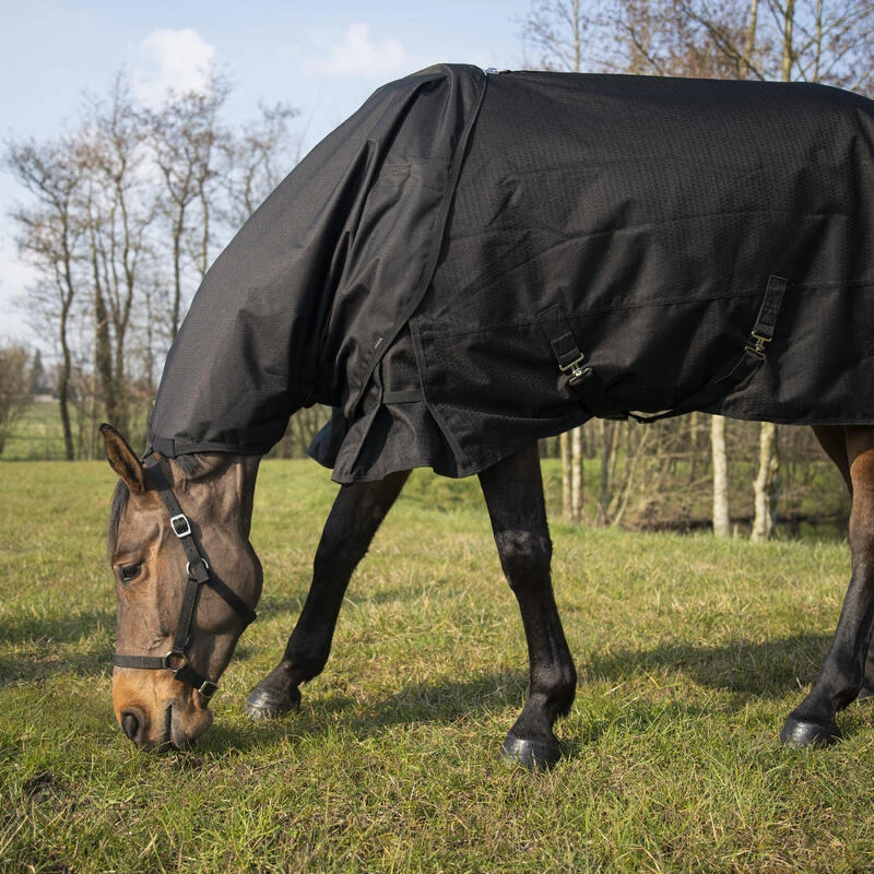 Couvre-cou équitation Imperméable Cheval - Allweather Light Noir – Image 3