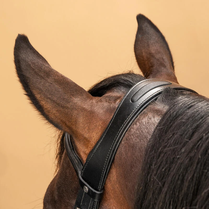 Filet équitation Cuir Muserolle Française Glossy Cheval Et Poney - 580 Noir – Image 4