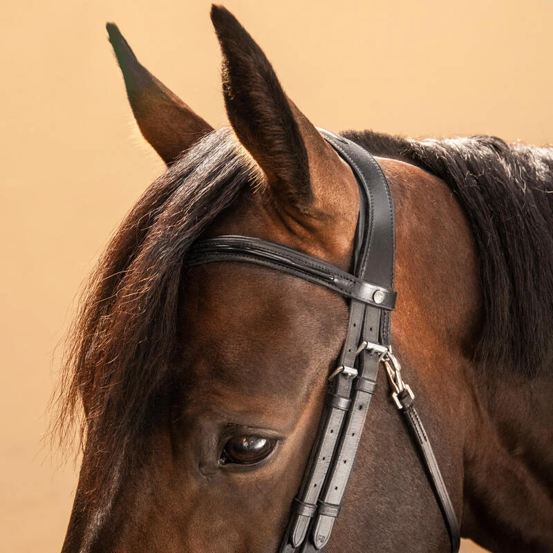 Filet équitation Cuir Muserolle Française Glossy Cheval Et Poney - 580 Noir – Image 5