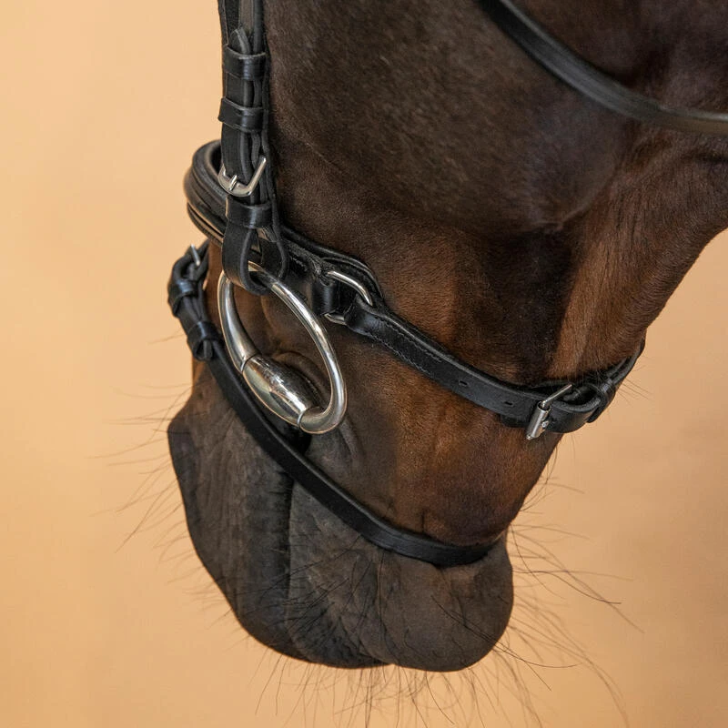 Filet équitation Cuir Muserolle Française Glossy Cheval Et Poney - 580 Noir – Image 7