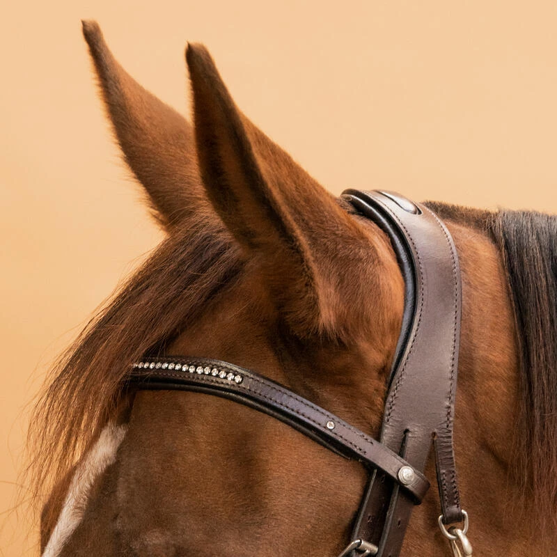 Filet équitation Cuir Muserolle Française Strass - 580 Marron – Image 4