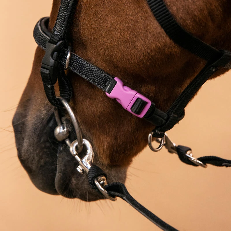 Filet Et Rênes équitation Synthétique Initiation Poney - 100 Noir – Image 7