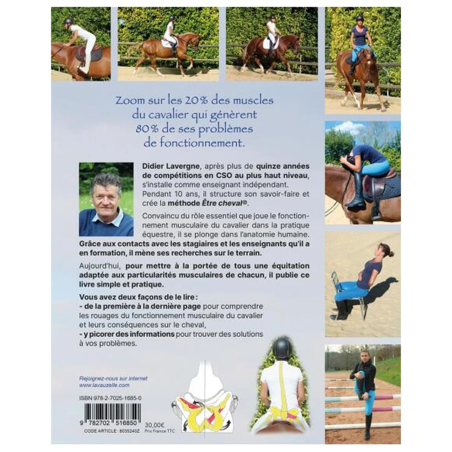 Fonctionnement Musculaire Du Cavalier - Confort Et Performance – Image 2