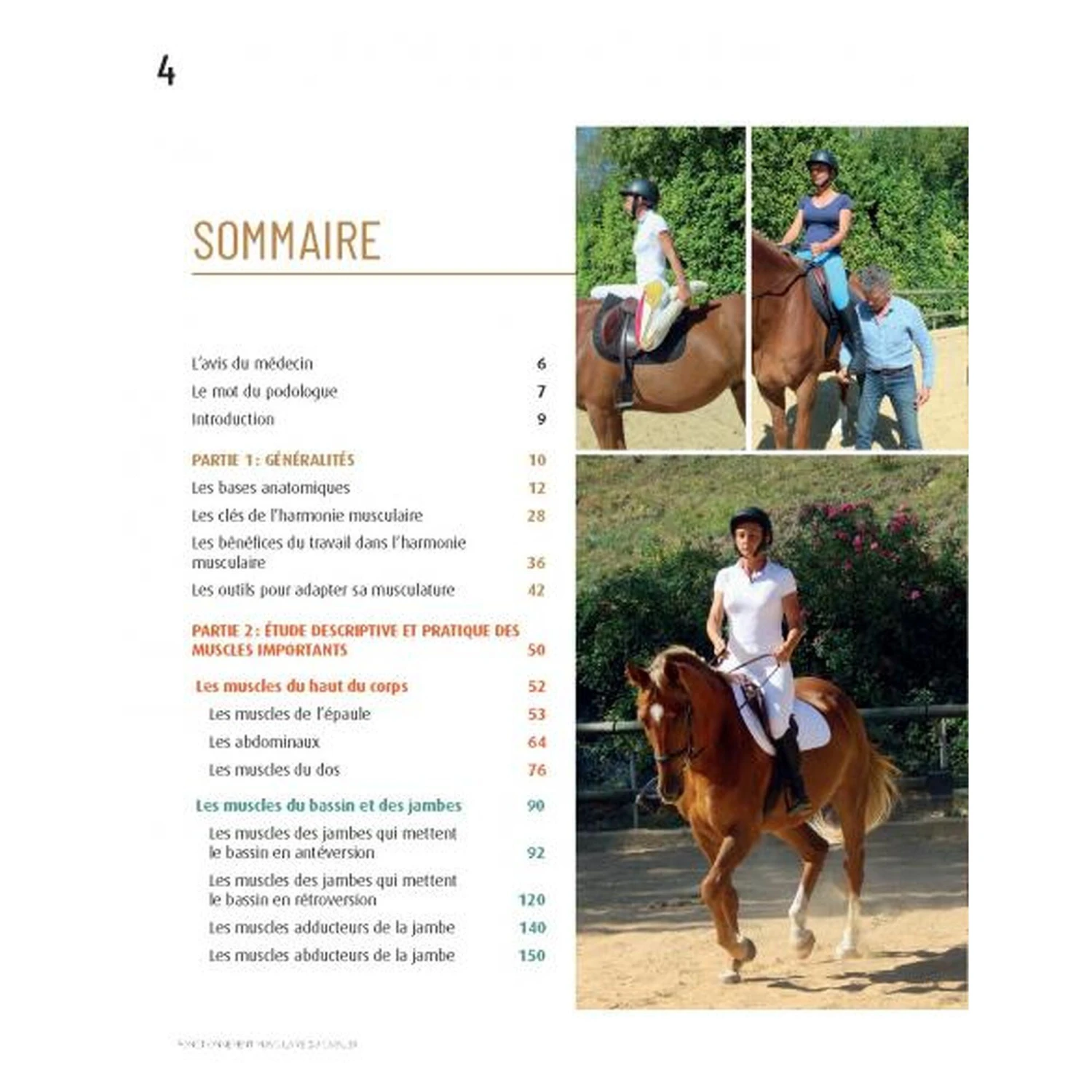 Fonctionnement Musculaire Du Cavalier - Confort Et Performance – Image 3