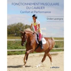 Fonctionnement Musculaire Du Cavalier - Confort Et Performance