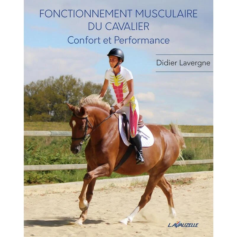 Fonctionnement Musculaire Du Cavalier - Confort Et Performance