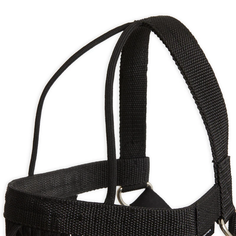 Frontal Anti-mouche De Pré équitation Poney - Noir – Image 2