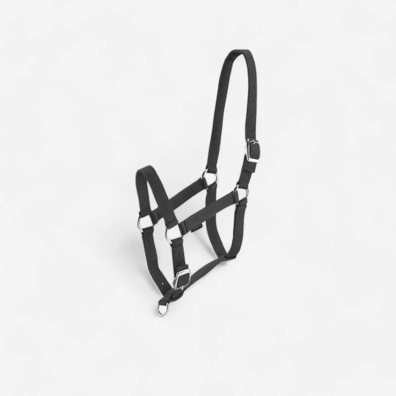 Licol équitation Cheval Et Poney SCHOOLING Noir