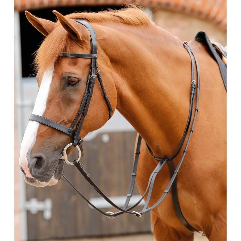 Martingale Pour Cheval Premier Equine Fuscaldo