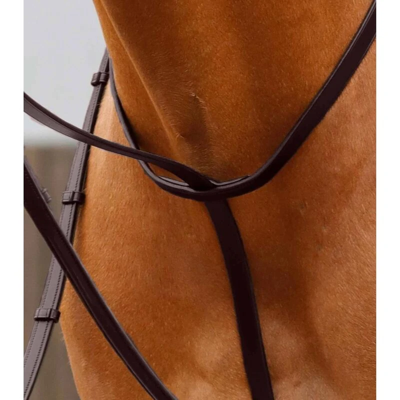 Martingale Pour Cheval Premier Equine Gressan – Image 2