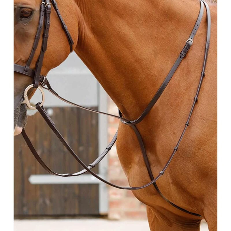 Martingale Pour Cheval Premier Equine Gressan