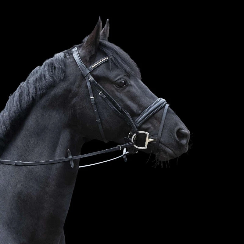 Mors Pour Cheval à Olive Dynamic Rs Sprenger – Image 3