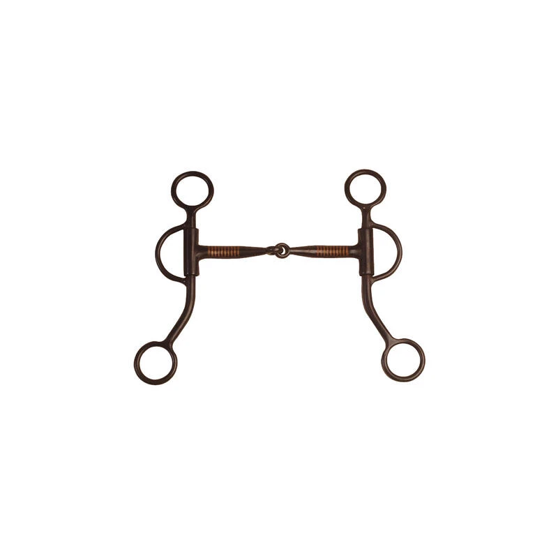 Mors Western Simple Brisure En Fer à Branches Courtes