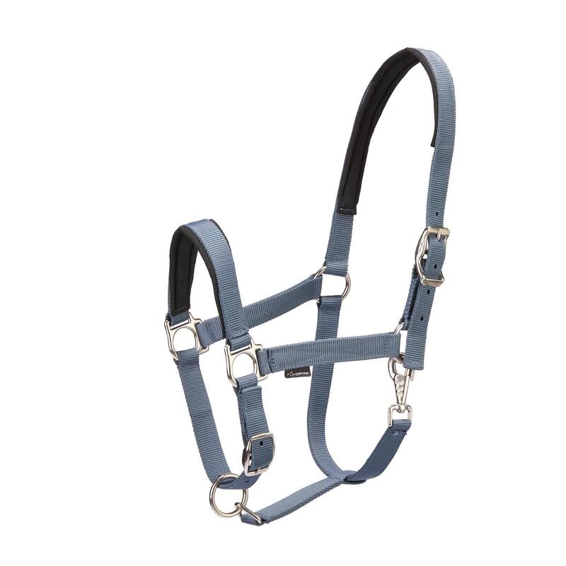 Pack Licol Et Longe équitation Cheval - Nubuc Bleu-gris – Image 2
