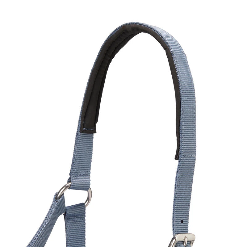 Pack Licol Et Longe équitation Cheval - Nubuc Bleu-gris – Image 7